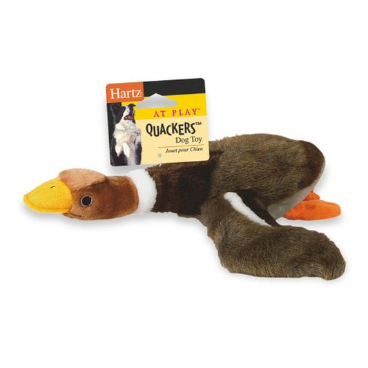 Hartz Quackers Plush Duck Dog Toy Colors Vary