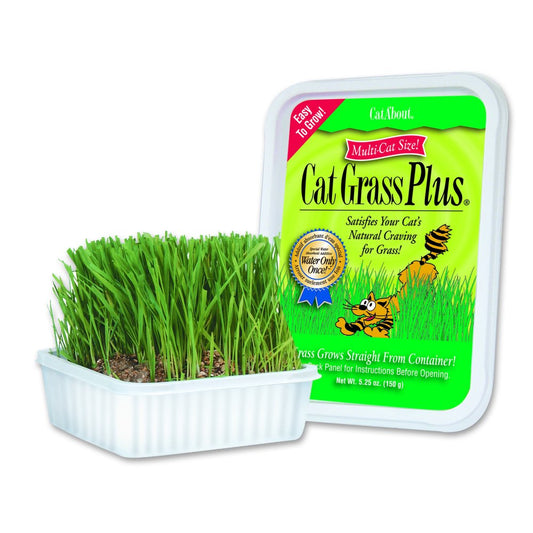 Cat A'Bout Cat Grass Plus, 150 Gram Tub Animals & Pet Supplies > Pet Supplies > Cat Supplies > Cat Treats MiracleCorp Products   