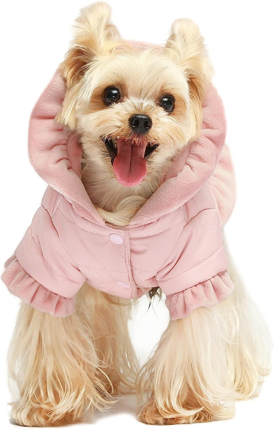 Fitwarm Ruffle Dog Coat, Puffer Jacket, Dog Winter Clothes for Small Dogs Girl, Pet Cat Hooded Outfit, Pink, Xsmall Animals & Pet Supplies > Pet Supplies > Dog Supplies > Dog Apparel Fitwarm Pink Small 