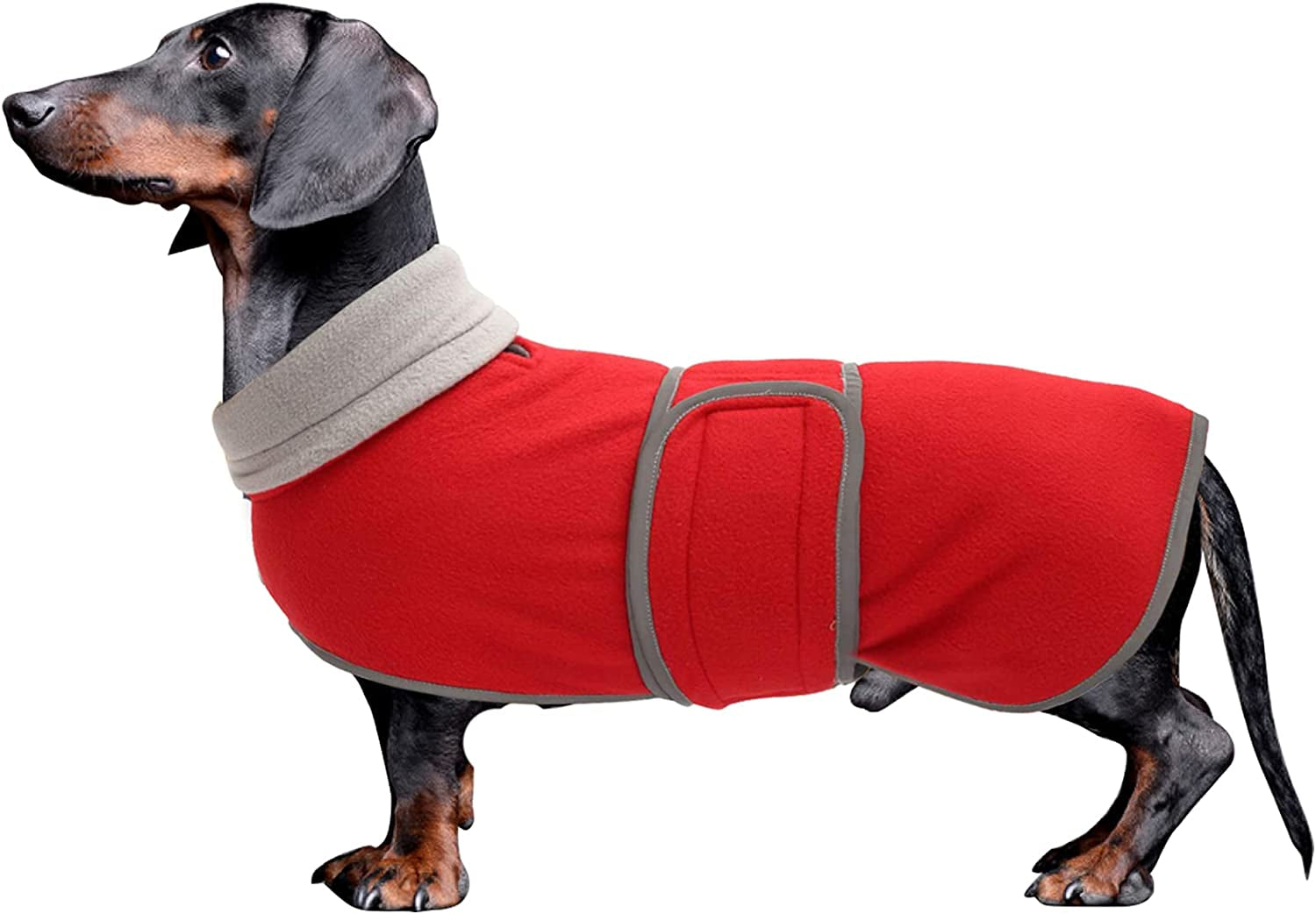 Dachshund Coats Sausage Dog Fleece Coat in Winter Miniature Dachshund Clothes with Hook and Loop Closure and High Vis Reflective Trim Safety - Red - S Animals & Pet Supplies > Pet Supplies > Dog Supplies > Dog Apparel Morezi Red Medium(Back: 17"-18"in) 