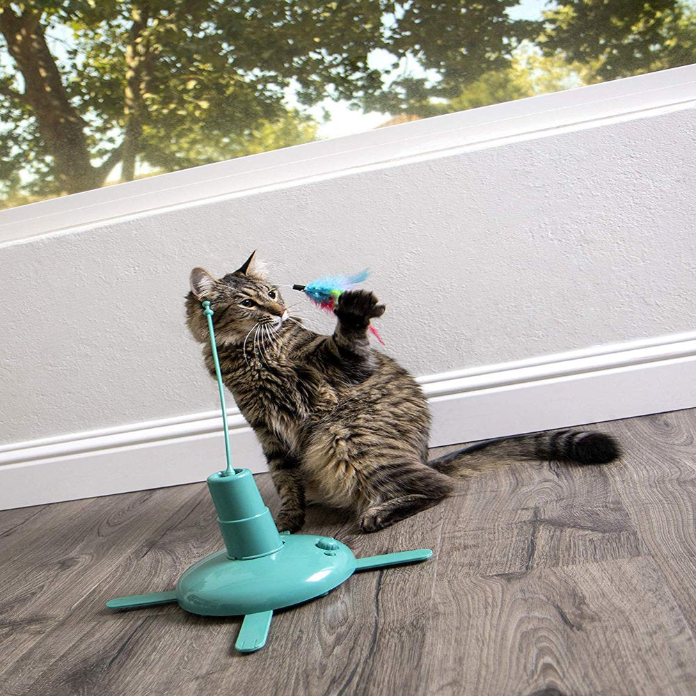Smartykat Loco! Motion Cat Toy Automated Activity Toy Animals & Pet Supplies > Pet Supplies > Cat Supplies > Cat Toys SmartyKat   