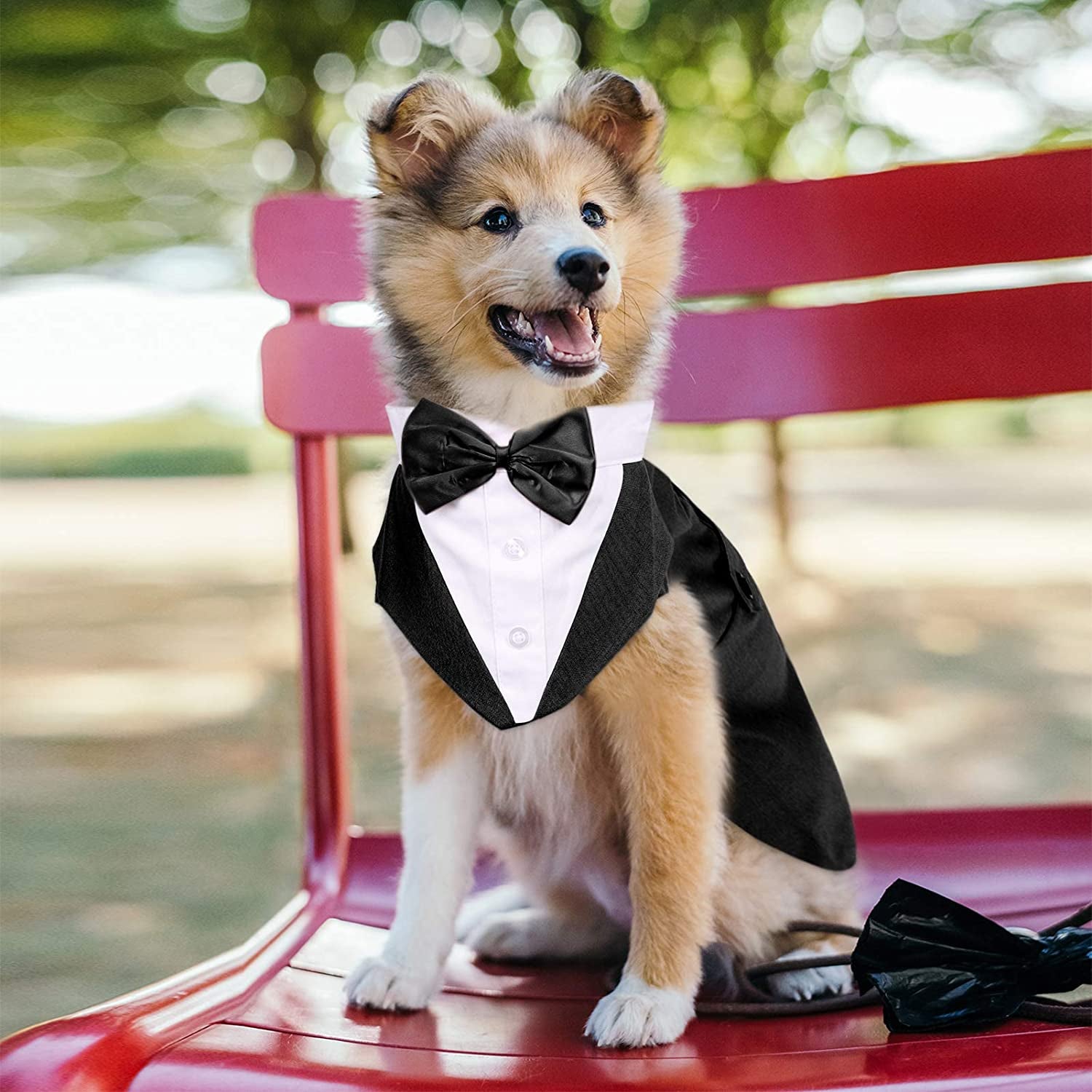 ASENKU Dog Tuxedo, Dog Wedding Shirt Halloween Costume Outfit with Detachable Bandana Bow Tie for Small Middle Large Dogs, Classic Black, XXL Animals & Pet Supplies > Pet Supplies > Dog Supplies > Dog Apparel ASENKU   