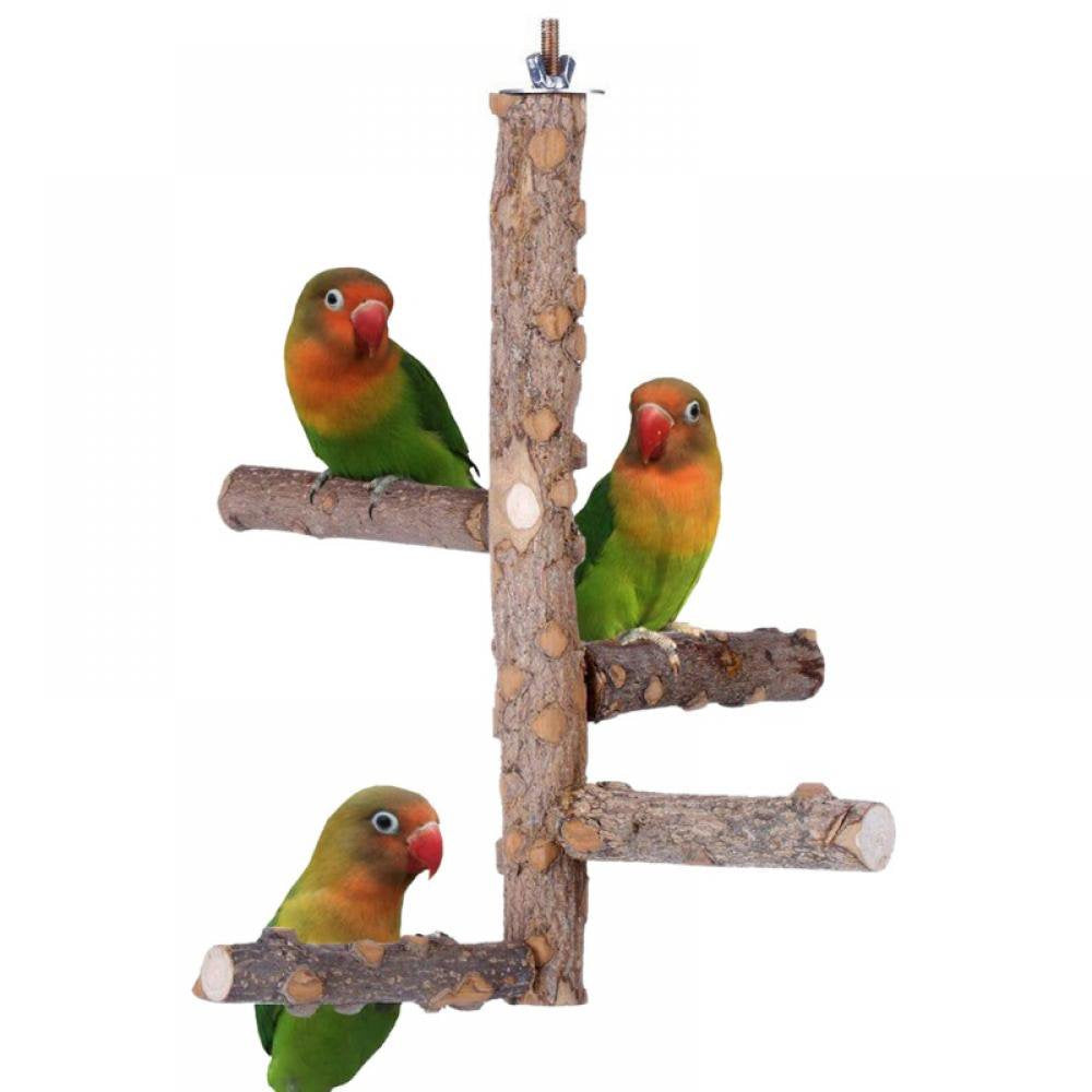 Bird Perch Stand Toy, Natural Wood Parrot Perch Bird Cage Branch Perch Accessories for Parakeets Cockatiels Conures Macaws Finches Love Birds - Medium Animals & Pet Supplies > Pet Supplies > Bird Supplies > Bird Cage Accessories popfeel M  