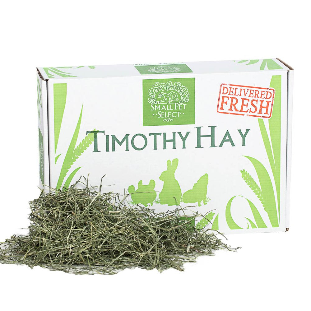 Small Pet Select 2Nd Cutting Timothy Hay Pet Food, 25-Pound Animals & Pet Supplies > Pet Supplies > Small Animal Supplies > Small Animal Food Small Pet Select   