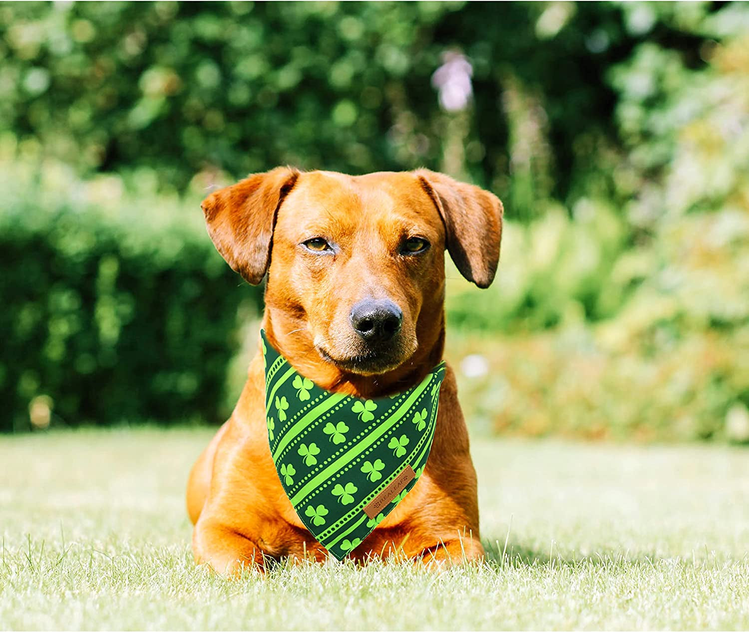 Realeaf St. Patrick'S Day Dog Bandanas 2 Pack, Reversible Green Shamrock Pet Scarf for Boy and Girl, Premium Durable Fabric, Holiday Bandana for Small Medium Large and Extra Large Dogs (Large) Animals & Pet Supplies > Pet Supplies > Dog Supplies > Dog Apparel Realeaf   