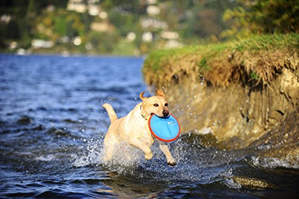 Chuckit! Paraflight Flyer Floatable Frisbee Dog Toy, Small Animals & Pet Supplies > Pet Supplies > Dog Supplies > Dog Toys Petmate   