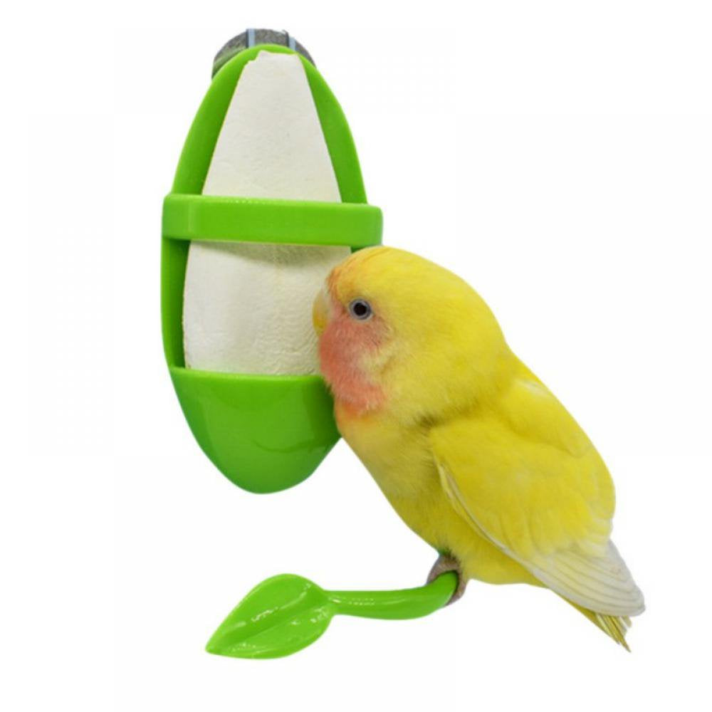 Parrot Feeder with Standing Rack Fruit Vegetable Holder Plastic Hanging Food Container Cage Accessories Pet Bird Supplie Animals & Pet Supplies > Pet Supplies > Bird Supplies > Bird Cage Accessories Knowza   