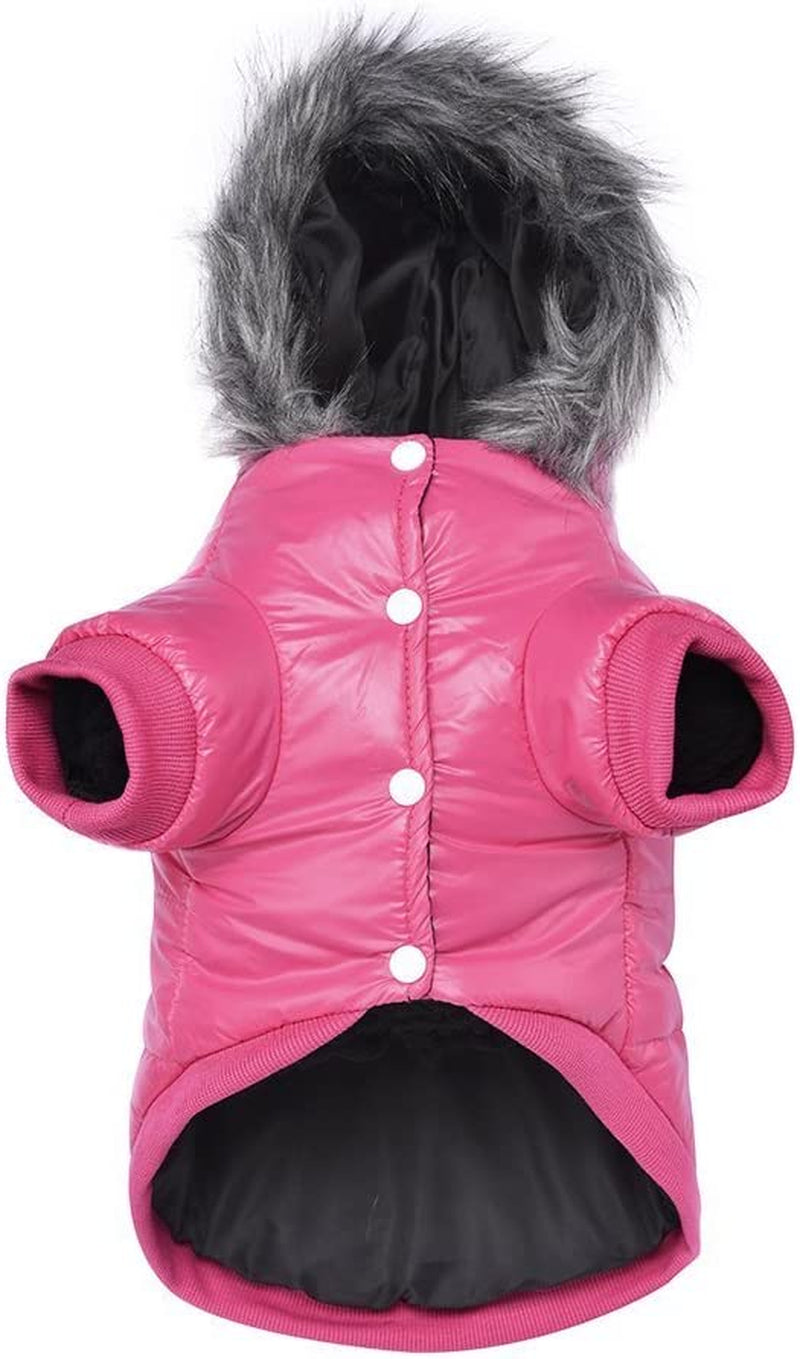 Lesypet Dog Coats for Small Dogs, Dog Jacket Warm Dog Winter Coat Windproof Puffer Jacket for Small Dogs Puppy, Pink S Animals & Pet Supplies > Pet Supplies > Dog Supplies > Dog Apparel LESYPET Pink X-Large 