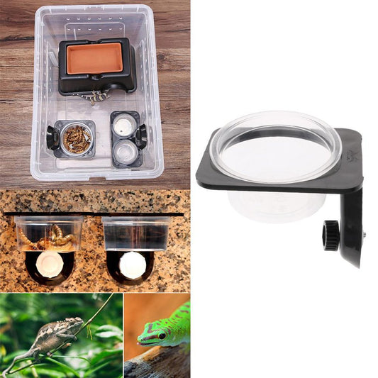 Reptile Amphibians Water Bowl Bowl Basin Screw Fixed Animals & Pet Supplies > Pet Supplies > Reptile & Amphibian Supplies > Reptile & Amphibian Food DYNWAVE   