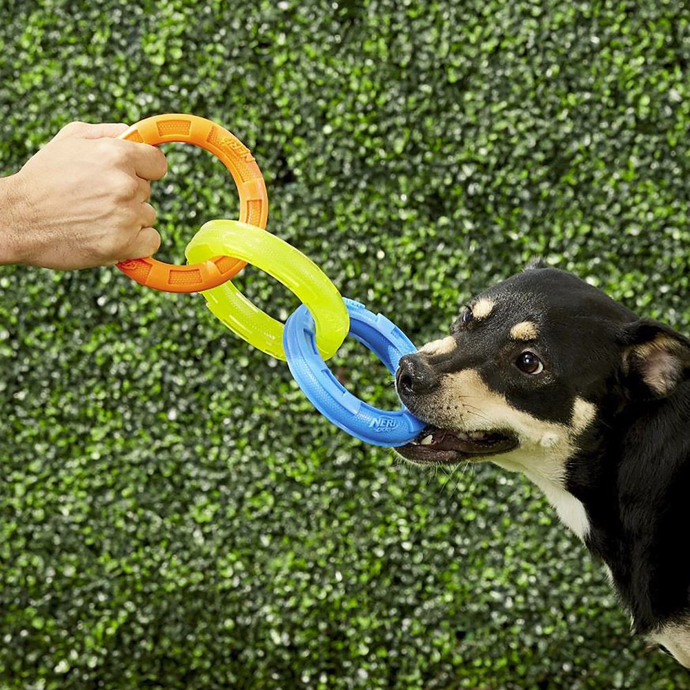 Nerf Dog Rubber 3-Ring Tuff Tug Dog Toy for Medium/Large Dogs, Lightweight Tug & Chew Toy, 10.5” Animals & Pet Supplies > Pet Supplies > Dog Supplies > Dog Toys Gramercy Products   