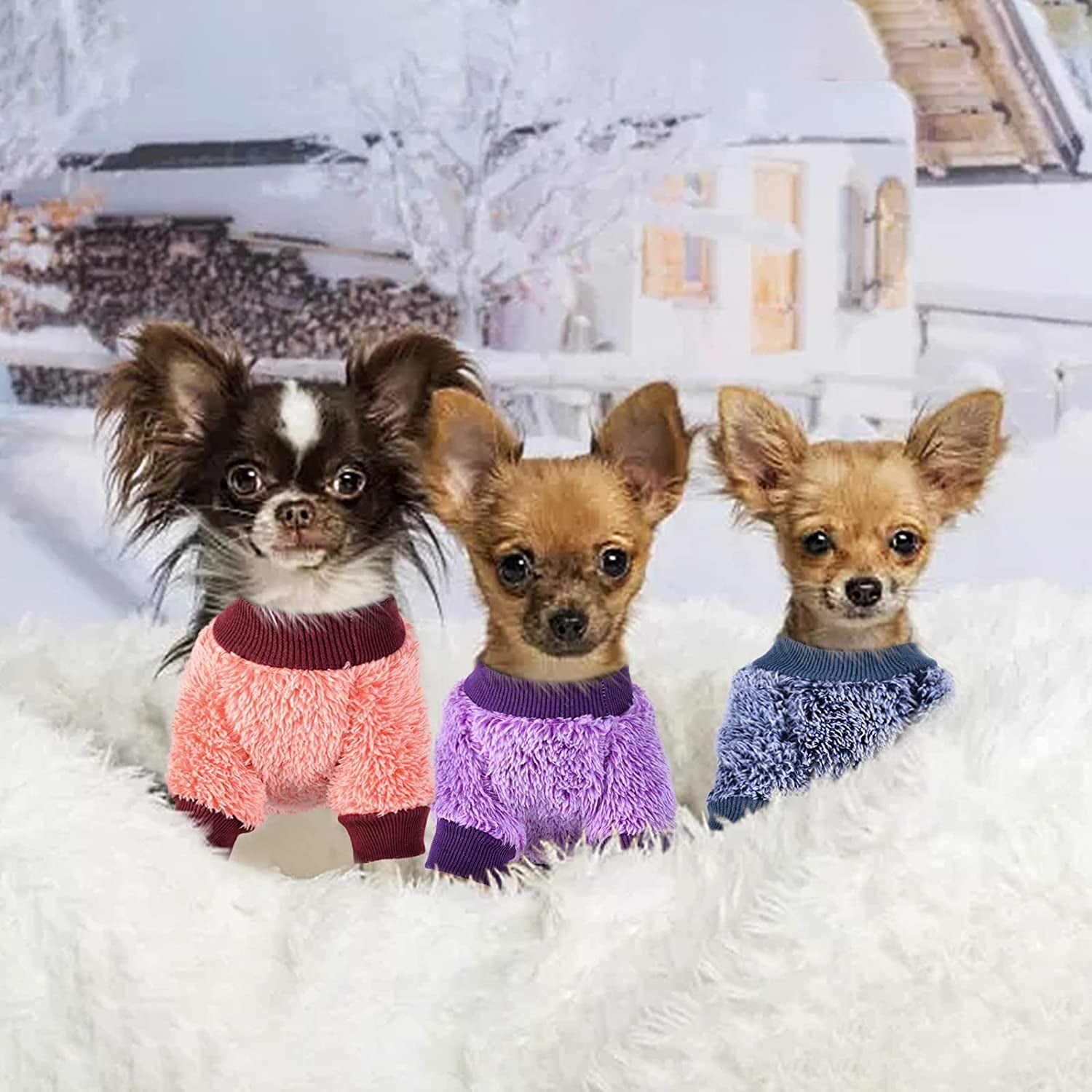 Chihuahua Dog Sweater Puppy Sweaters Cat Sweater XXS Dog Sweater XXS Pet Clothes Teacup Dog Clothes Doggie Sweaters for Small Dogs Tiny Puppy Sweater Extra Small Dog Sweater (Medium) Animals & Pet Supplies > Pet Supplies > Dog Supplies > Dog Apparel Sebaoyu   