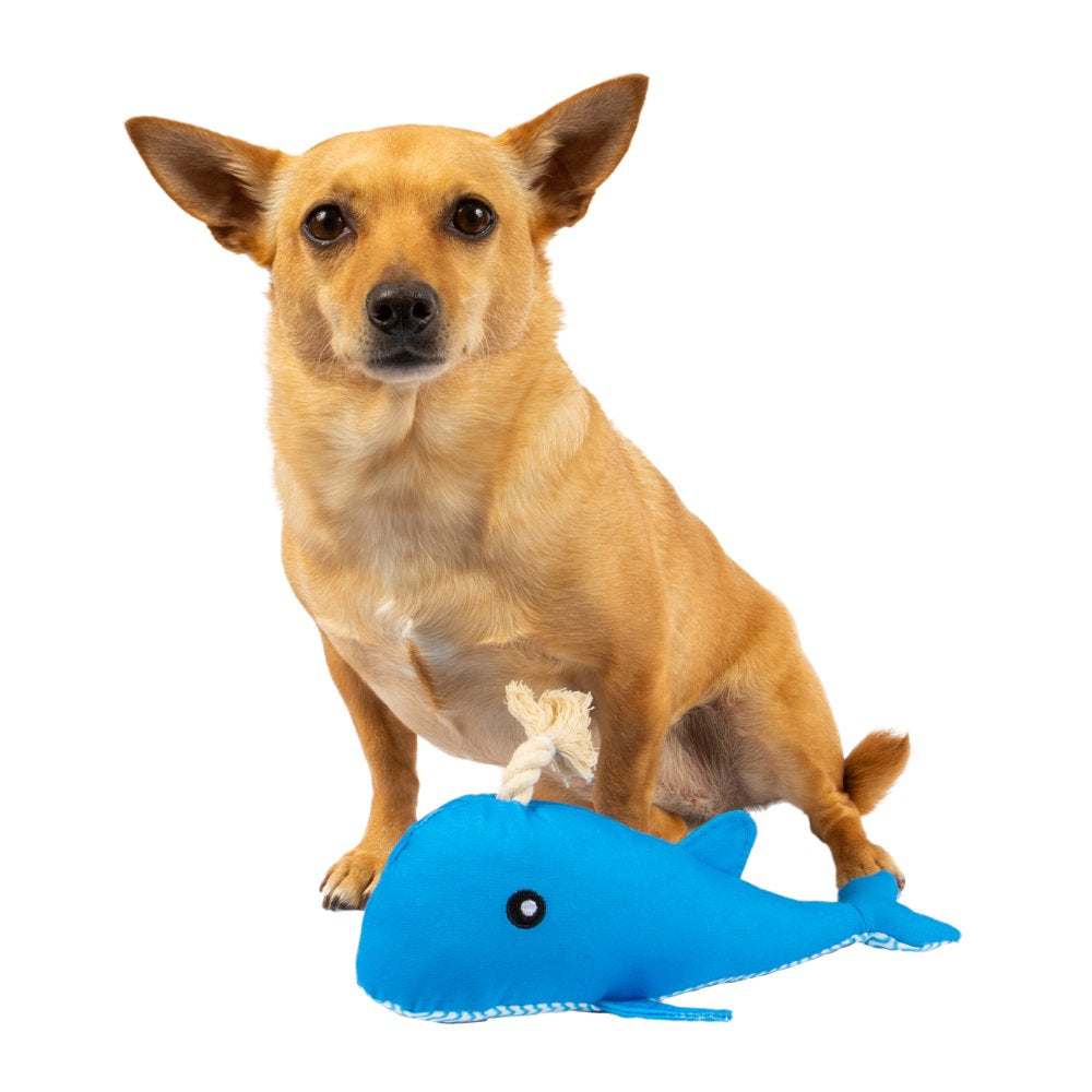 Vibrant Life Blue Whale Plush Dog Toy Animals & Pet Supplies > Pet Supplies > Dog Supplies > Dog Toys Mission Pets   