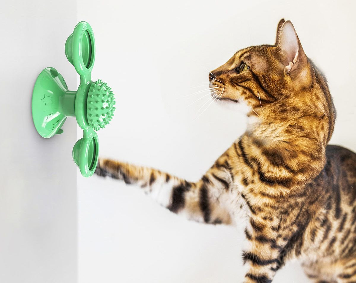 Pet Life ® 'Windmill' Rotating Suction Cup Spinning Cat Toy Animals & Pet Supplies > Pet Supplies > Cat Supplies > Cat Toys Pet Life   