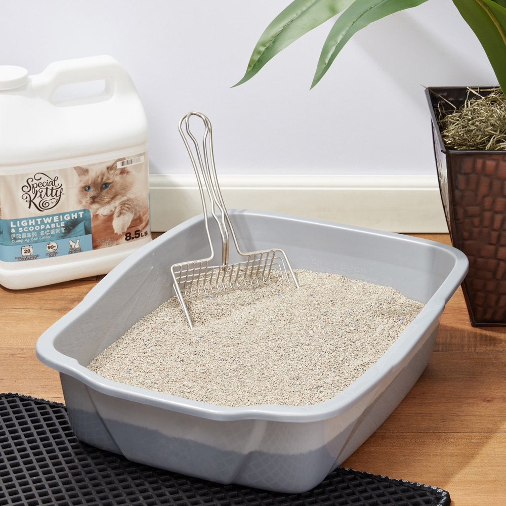 Special kitty hot sale cat litter