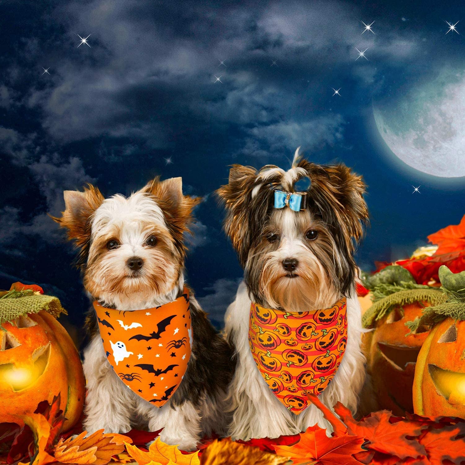 Whaline 4 Pack Autumn Dog Bandanas Reversible Halloween Fall Triangle Bibs Pumpkin Ghost Bat Pet Scarf Washable Cotton Pet Neckerchief for Medium Large Pets Cats Dogs Animals & Pet Supplies > Pet Supplies > Dog Supplies > Dog Apparel Whaline   