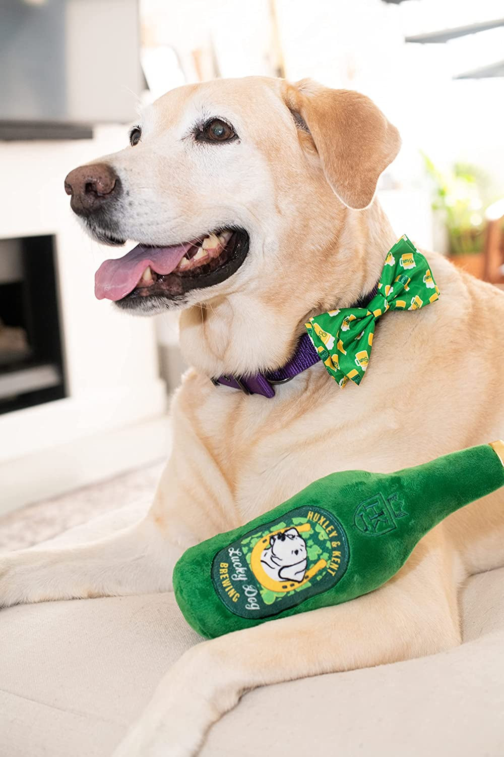 Lulubelles Huxley & Kent St. Patrick'S Day Dog Bundle | Extra-Large | Cheers & Irish Suds Bow Tie | Dog Toy and Collar Attachment Holiday Bundle Animals & Pet Supplies > Pet Supplies > Dog Supplies > Dog Apparel Lulubelles   