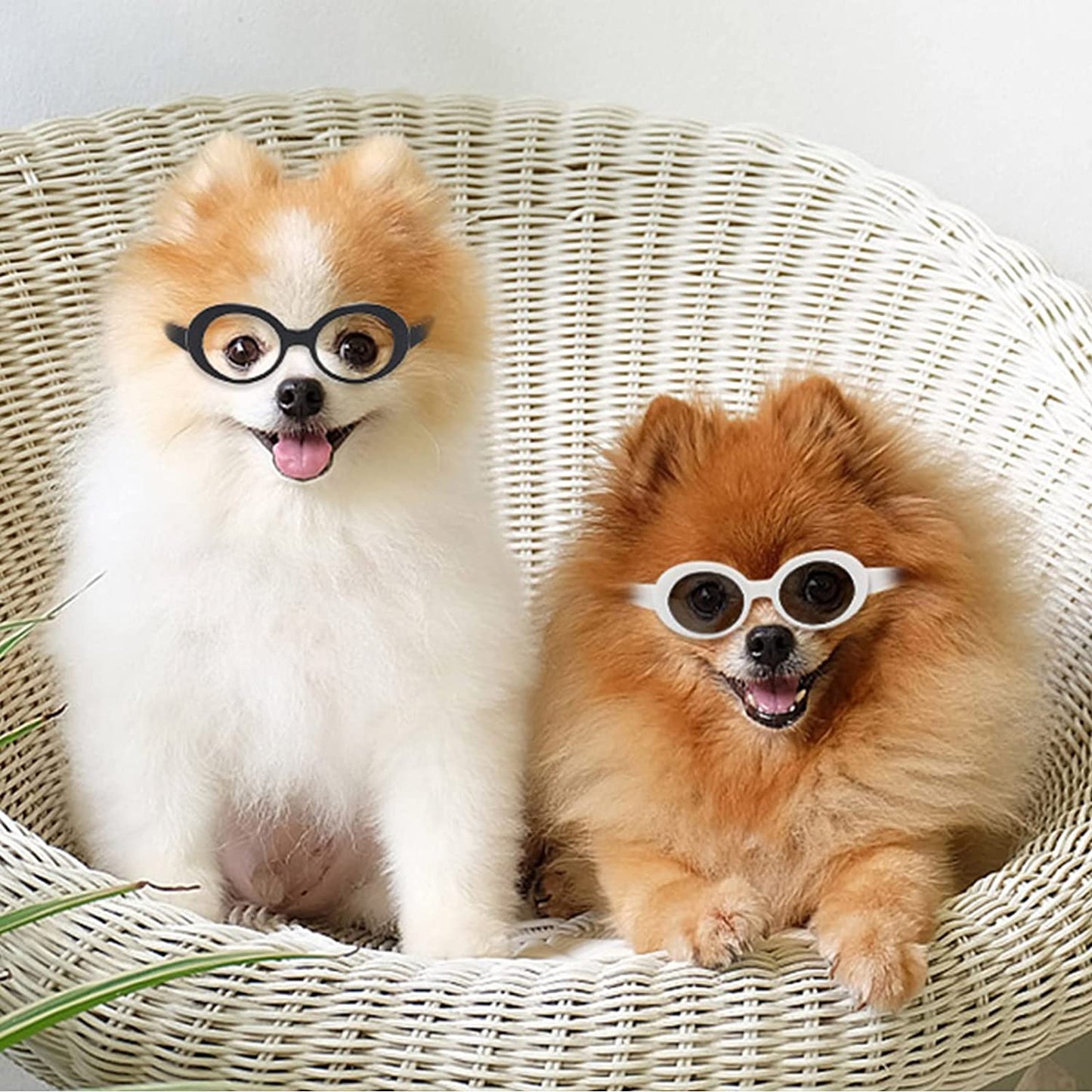 Retro Oval Small Dogs Cats Eye Wear Party Favors Pet Sunglasses Set Cute Funny Cosplay Dolls Costume Photo Props Animals & Pet Supplies > Pet Supplies > Dog Supplies > Dog Apparel HO ME Fashion Jewelry CO., LTD   