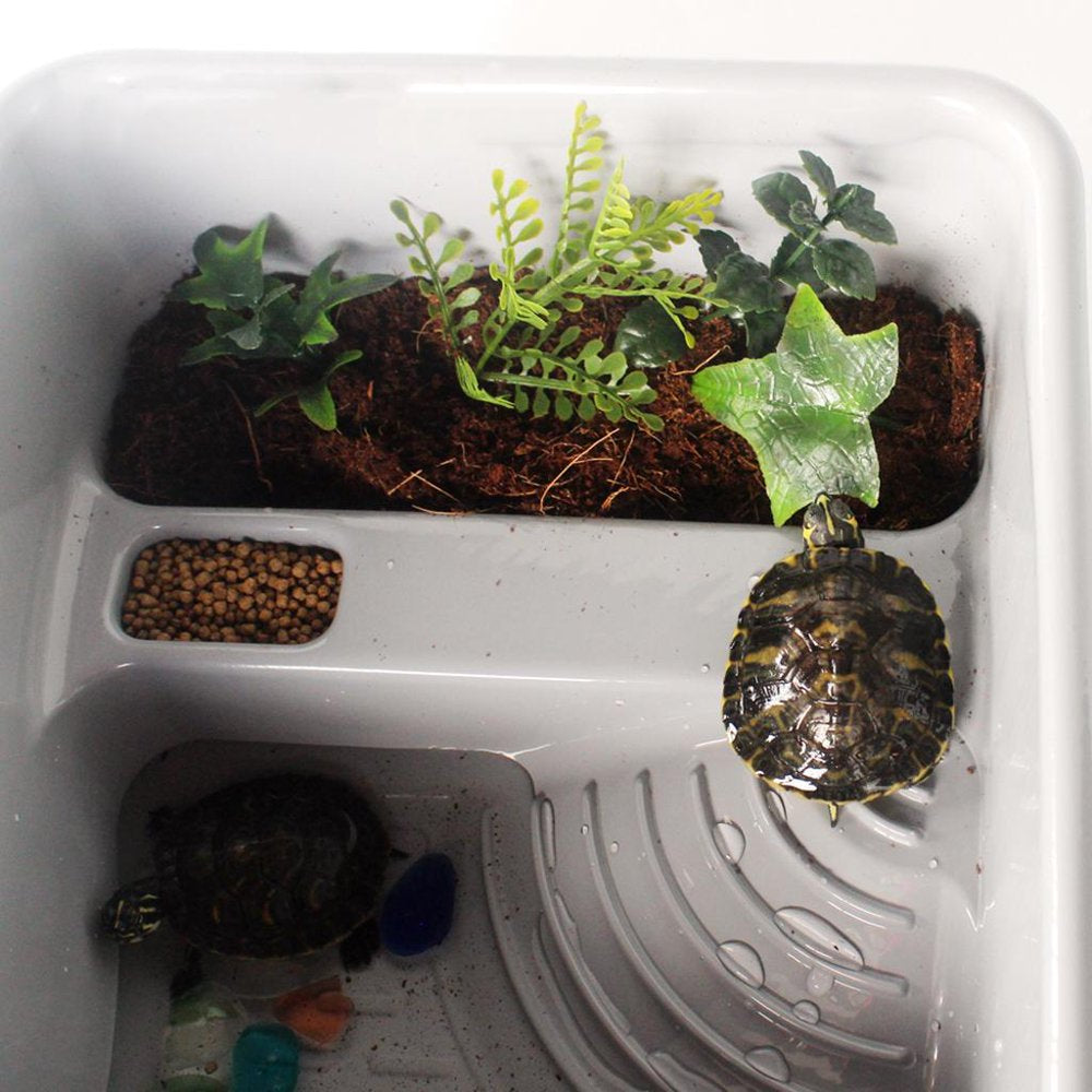 Reptiles Amphibians Habitat Terrarium Vivarium Tank Breeding Box for Terrapin Light Gray