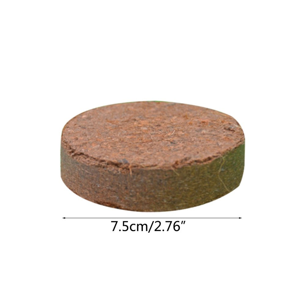 Reptile Terrariums Fish Tank Supply Natural Coconut Fiber Substrate Bricks Soil Essentials Animals & Pet Supplies > Pet Supplies > Fish Supplies > Aquarium Gravel & Substrates Leimezsty   