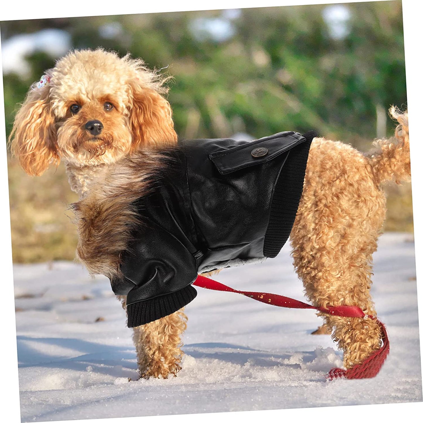 Ipetboom Warm Dog Jacket Dresses for Winter Puppy Coats Puppy Clothes Windproof Dog Clothes Winter Cat Clothes Winter Dog Coat Dog Cold-Proof Costume Pet Clothes Puppy Winter Jacket Cosplay Animals & Pet Supplies > Pet Supplies > Dog Supplies > Dog Apparel Ipetboom   