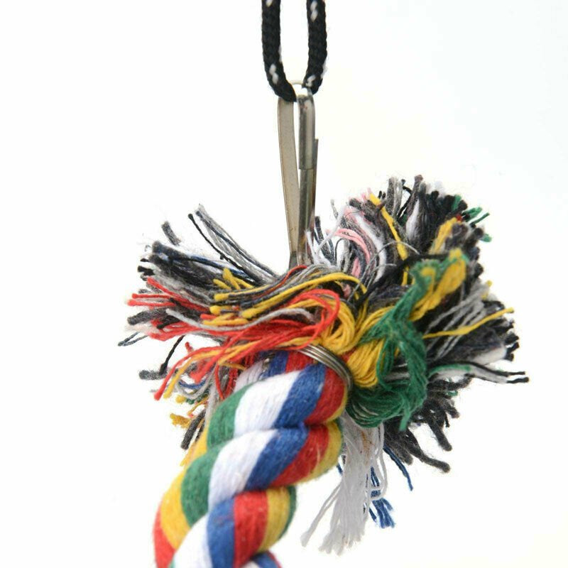 Beinou Pets Parrot Hanging Swing Chew Toy Rope Bite Toys for Bird Budgies Parakeet Rope Animals & Pet Supplies > Pet Supplies > Bird Supplies > Bird Toys Beinou   