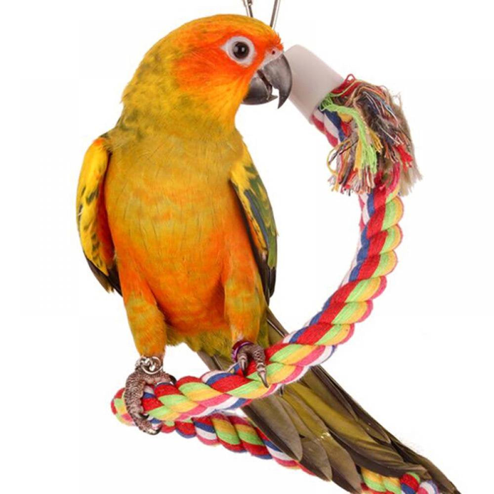 Bird Rope Perch Comfy Cotton Spiral Bungee Swing Climbing Standing Ladder for Bird Cage Parrot Toy with Bell Animals & Pet Supplies > Pet Supplies > Bird Supplies > Bird Ladders & Perches QRxue   