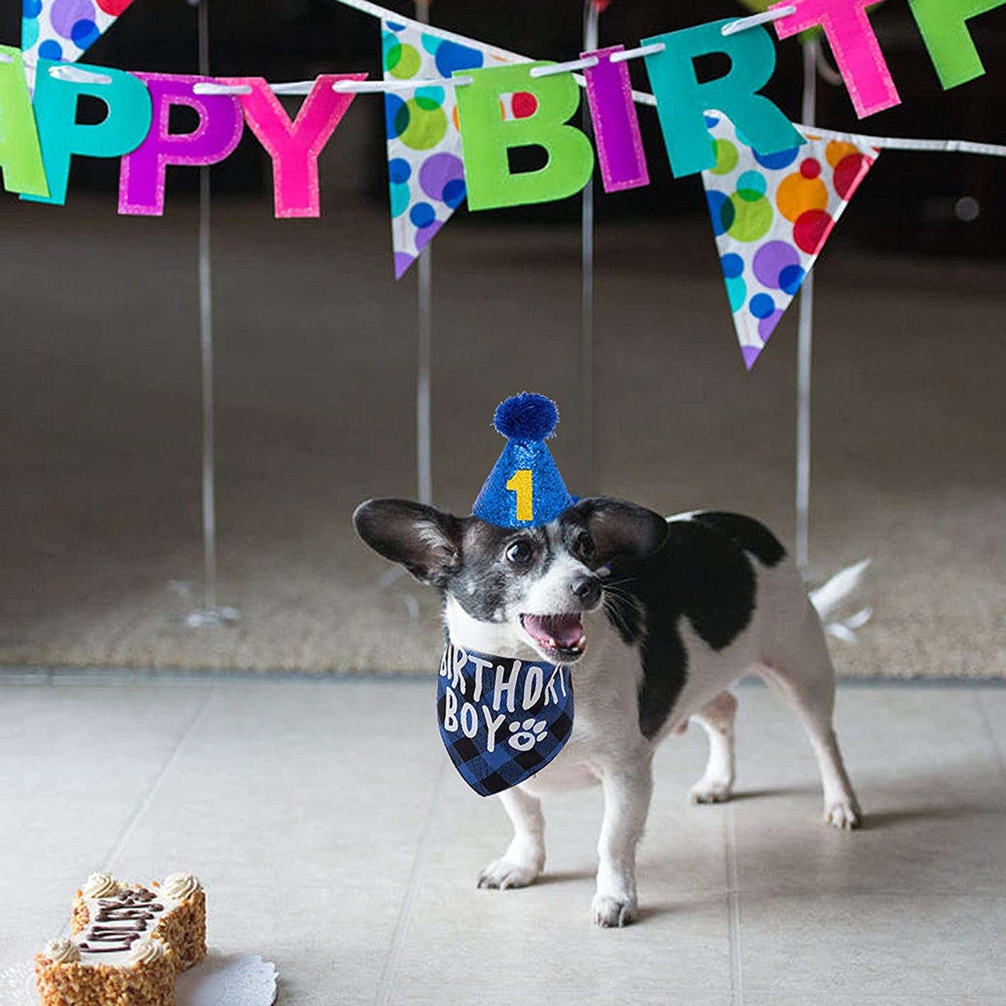 FLYSTAR Dog Birthday Bandana with Hat and Number - Plaid Cute Doggy Bandana for Small Medium Large Dogs Boy- Blue Triangle Scarf Bibis Party Dog Outfits Animals & Pet Supplies > Pet Supplies > Dog Supplies > Dog Apparel FLYSTAR   