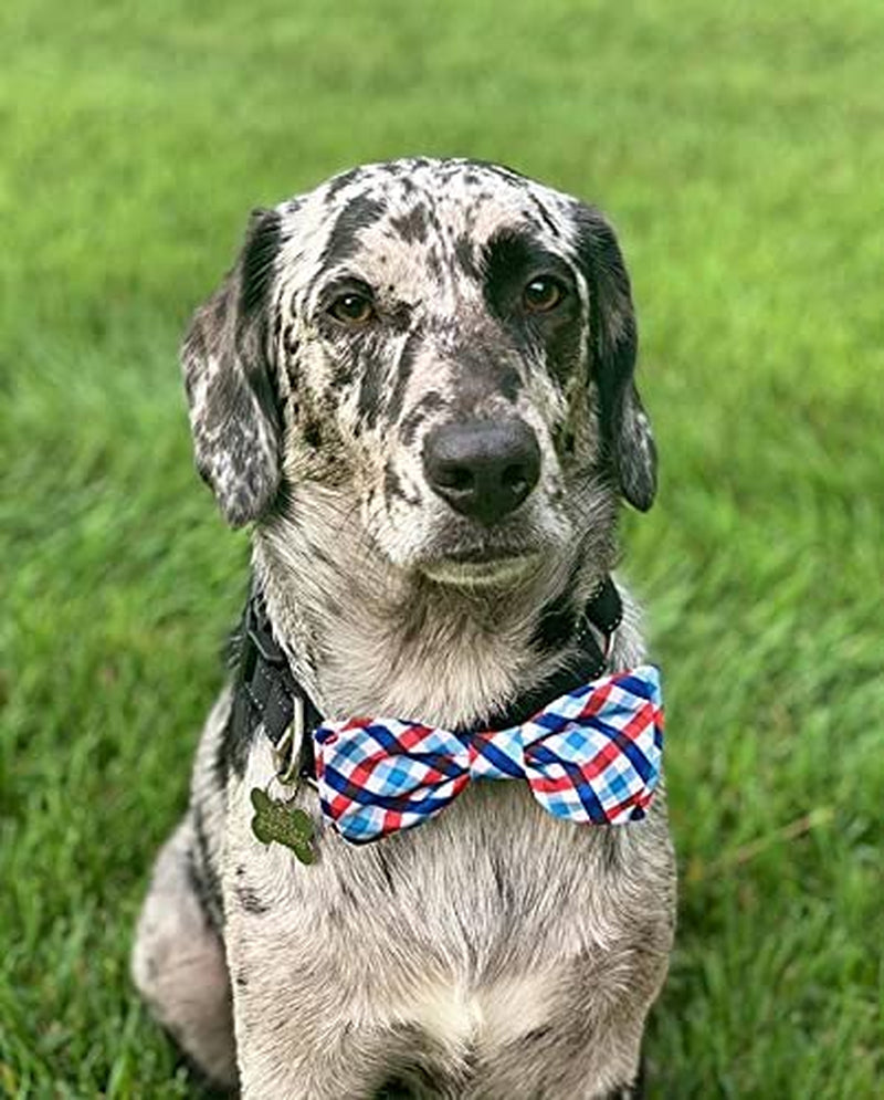 H&K Bow Tie for Pets | Picnic Check (Large) | 4Th of July Velcro Bow Tie Collar Attachment | Fun Bow Ties for Dogs & Cats | Cute, Comfortable, and Durable | Huxley & Kent Bow Tie Animals & Pet Supplies > Pet Supplies > Dog Supplies > Dog Apparel Huxley & Kent   