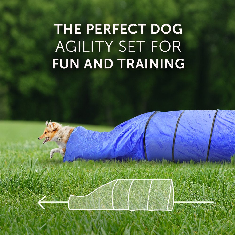 Better Sporting Dog Agility Equipment Set, 7 Piece Animals & Pet Supplies > Pet Supplies > Dog Supplies > Dog Treadmills Better Sporting Dogs   