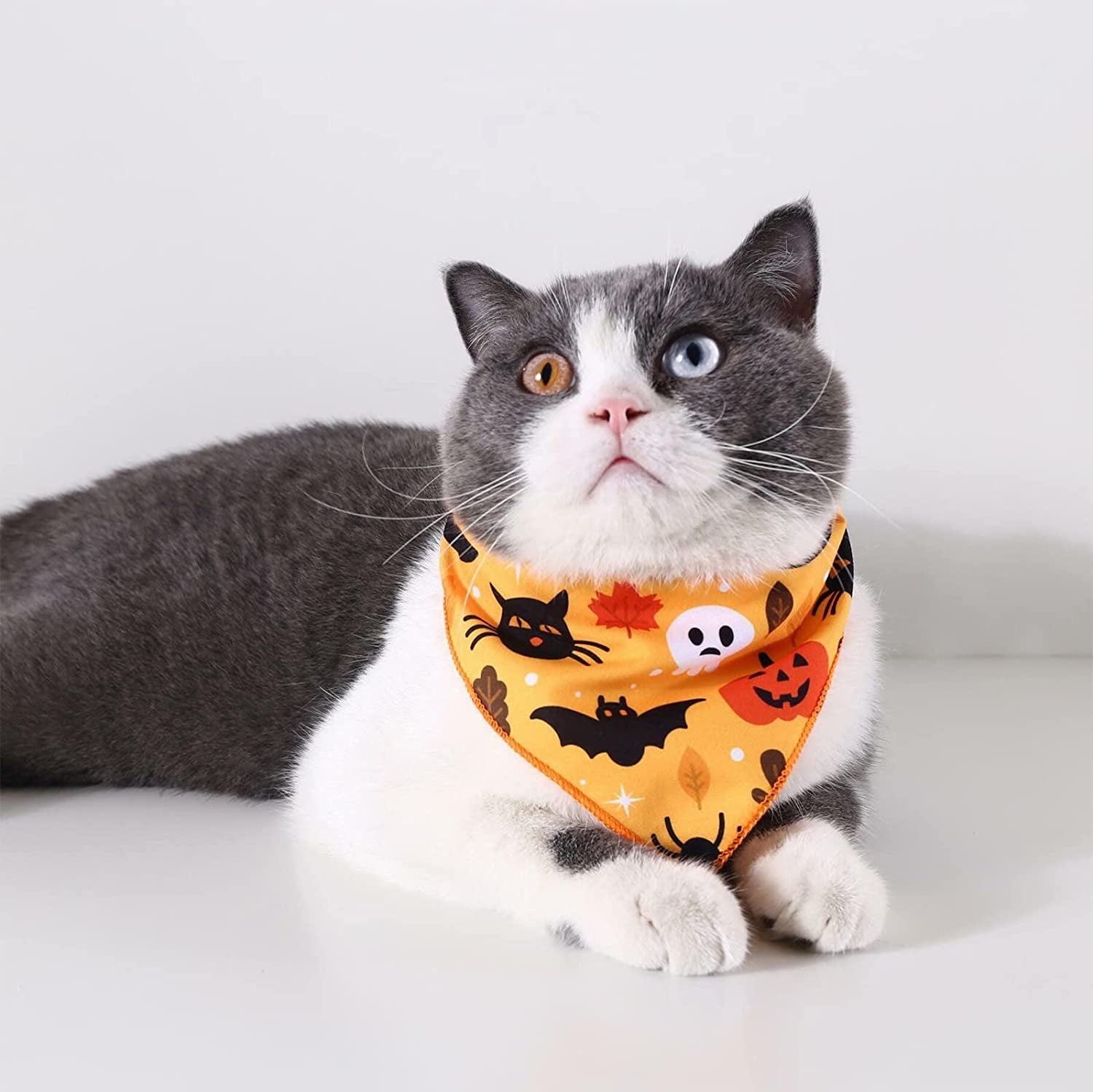 Dog Bandanas Dog Scarf Kerchief Dog Bibs Washable Halloween Pet Towel Triangle Scarf Pet Cat Dog Printed Halloween Party Towel Party Scarf Adjustable for Small to Large Dogs Cats (Yellow, S) Animals & Pet Supplies > Pet Supplies > Dog Supplies > Dog Apparel Generic   