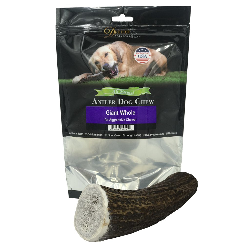 Deluxe Naturals Elk Antler Dog Chew 6-Pack, Medium Split Antlers Animals & Pet Supplies > Pet Supplies > Dog Supplies > Dog Toys Deluxe Naturals Whole XL 1