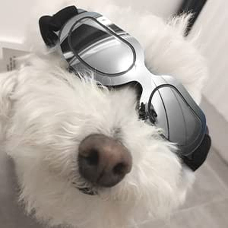 PEDOMUS Dog Sunglasses Small Dog Goggles Doggles Dog Glasses for Small Dogs Adjustable Band Blue Animals & Pet Supplies > Pet Supplies > Dog Supplies > Dog Apparel PEDOMUS Silver  