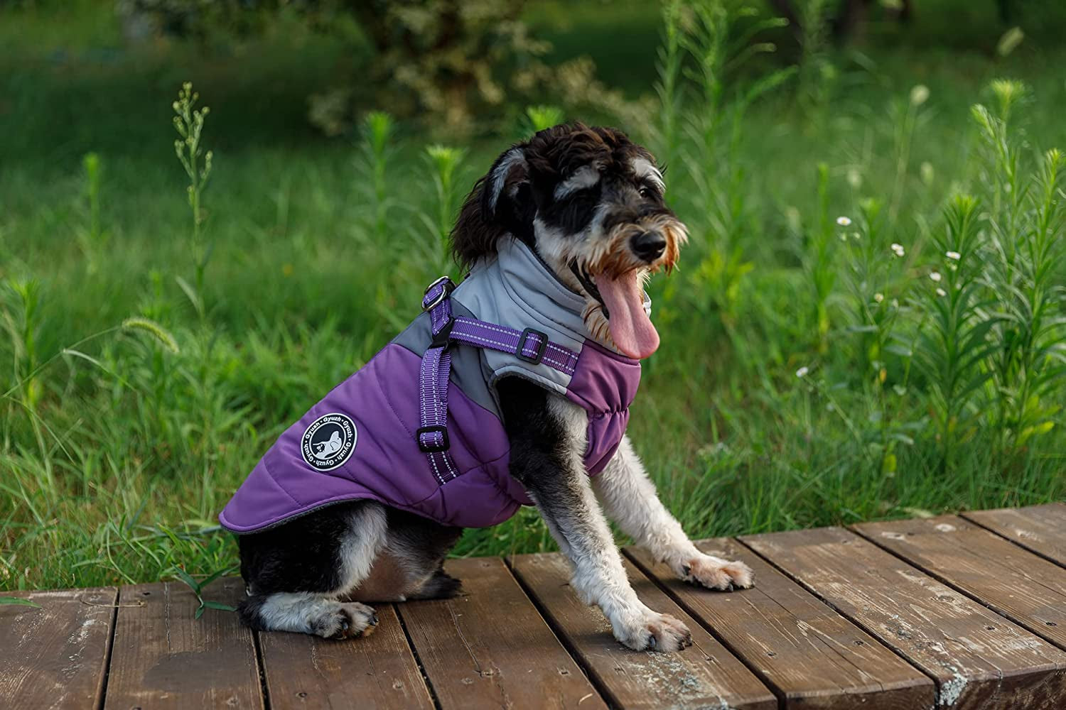 Gyuzh Dog Coats for Small Medium Dogs Winter Dog Coat Dog Jacket Vest Clothes Dog Harness Coat Small Dog Harness Puppy Coats Jackets Waterproof Small Medium Dog Coats for Winter Animals & Pet Supplies > Pet Supplies > Dog Supplies > Dog Apparel Gyuzh   