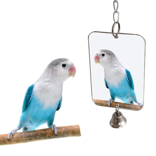 Cheers.Us Pet Bird Mirror with Bell Interactive Parrot Toy for Parrot Budgies Cockatoo Parakeet Cockatiels Conure Lovebird Cage Bells Mirror Animals & Pet Supplies > Pet Supplies > Bird Supplies > Bird Toys Cheers.US 8x12cm Silver 