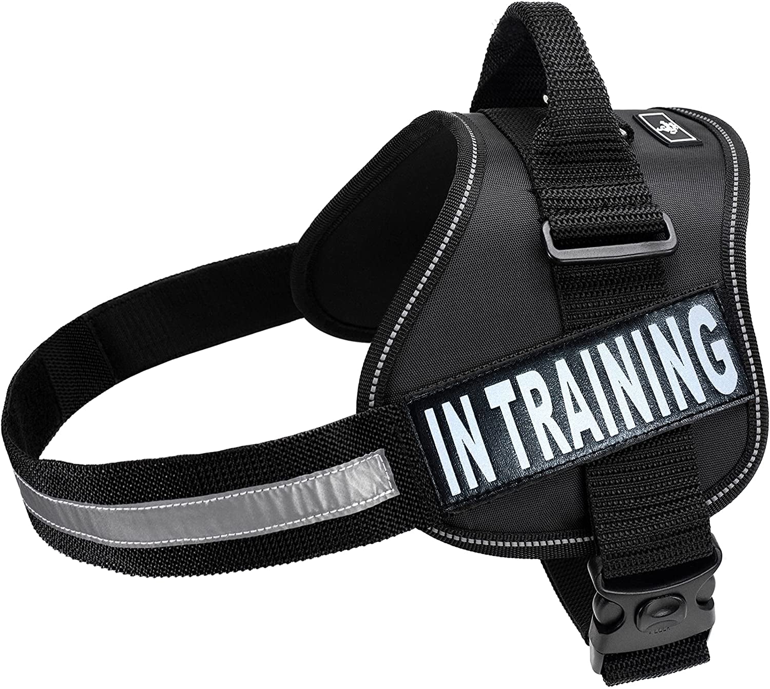 Service Dog Harness Vest Cool Comfort Nylon for Dogs Small Medium Large Girth, Purchase Comes with 2 in Training Reflective Patches. Please Measure Dog before Ordering (Girth 24-31", Red) Animals & Pet Supplies > Pet Supplies > Dog Supplies > Dog Apparel Doggie Stylz Black Girth 12-16" 