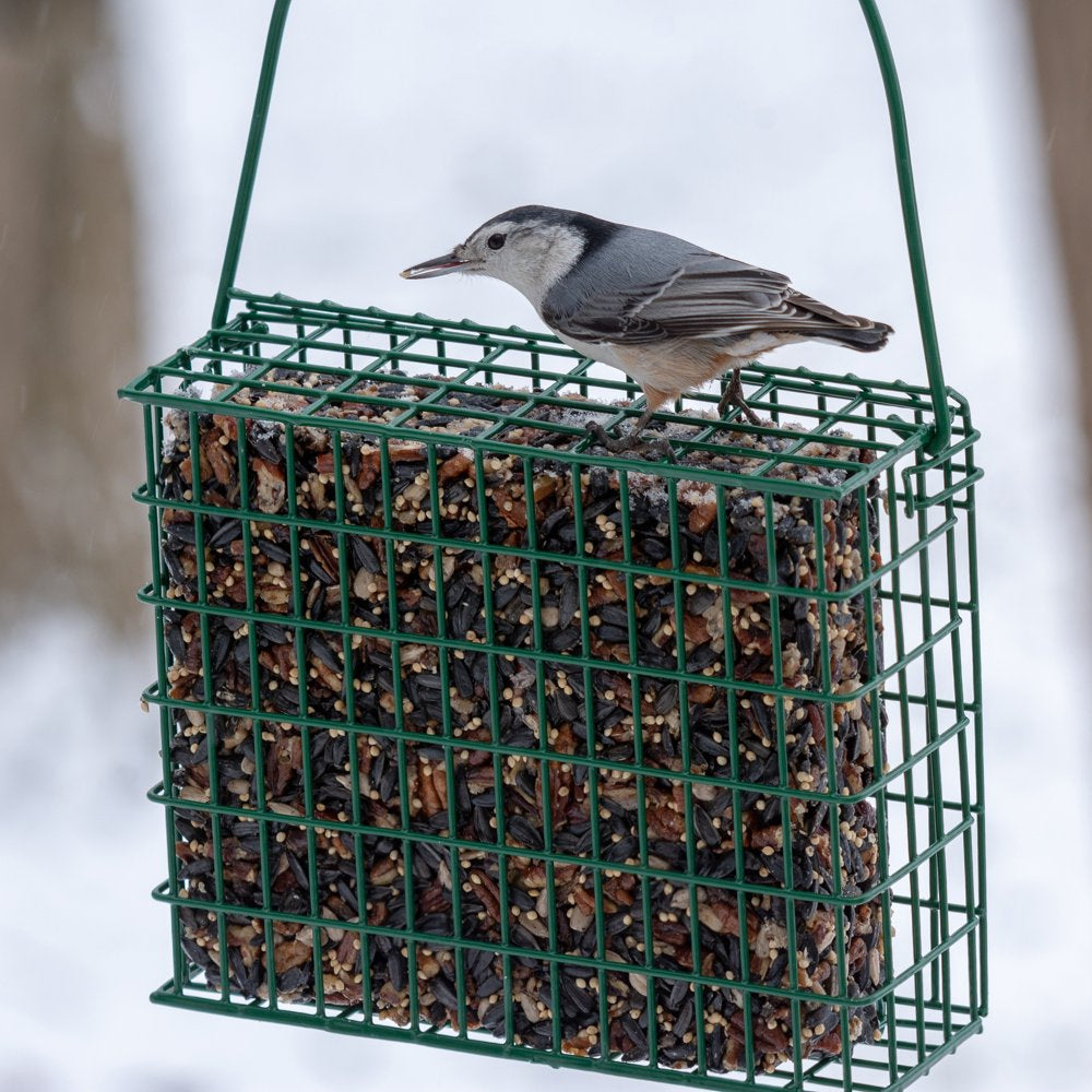 C&S Fruit & Nut Seed and Suet Snak, 36 Oz, Wild Bird Food, 6 Pack Animals & Pet Supplies > Pet Supplies > Bird Supplies > Bird Food Central Garden and Pet   