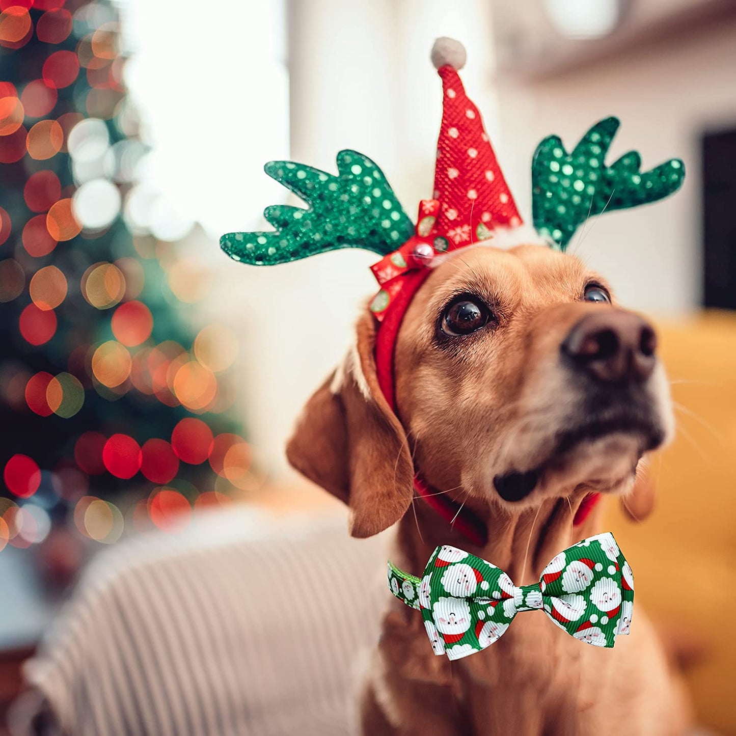 Christmas Dog Collar with Bow Tie, 2 Pack Holiday Santa and Snowman Collar for Small Medium Large Dogs Pets Puppies (Small-(11"-17") Neck * 5/8" Wide) Animals & Pet Supplies > Pet Supplies > Dog Supplies > Dog Apparel Pohshido   