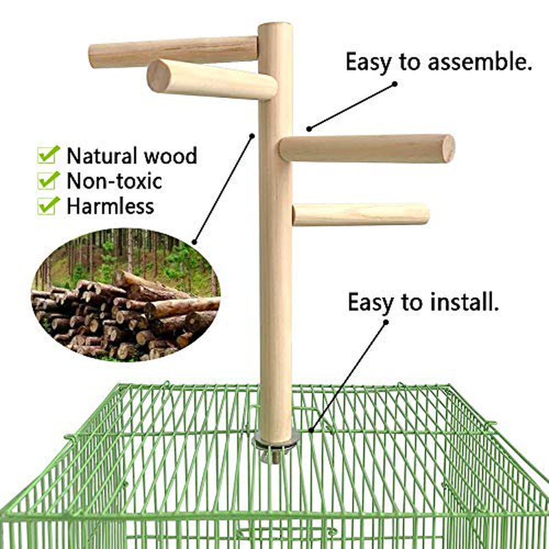 Hamiledyi Parakeet Perch,Bird Natural Wood Stand,Parrot Cage Top Wooden Branches for Standing,Toys for Small Medium Parrots Conure Budgie Lovebirds Animals & Pet Supplies > Pet Supplies > Bird Supplies > Bird Cages & Stands Hamiledyi   