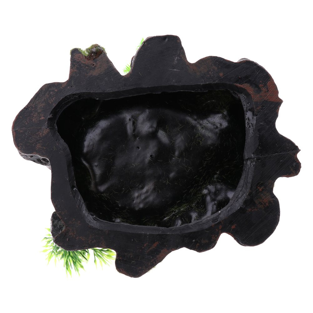 Plant Decor Resin Amphibians and Reptile Feeding Water Drinking Food Dish Tray Pet Tortoise Gecko Spider Animals & Pet Supplies > Pet Supplies > Reptile & Amphibian Supplies > Reptile & Amphibian Food Generic   