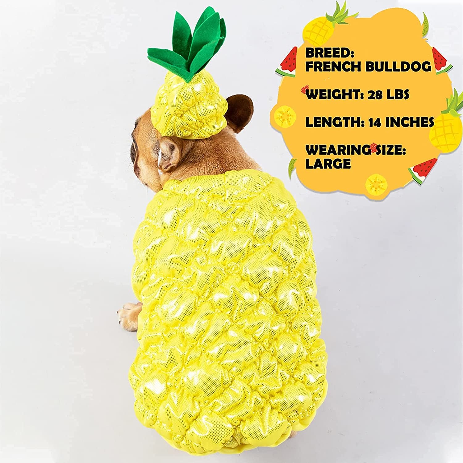 Cyeollo Dog Halloween Costume Pineapple Dress-Up Costumes Outfits