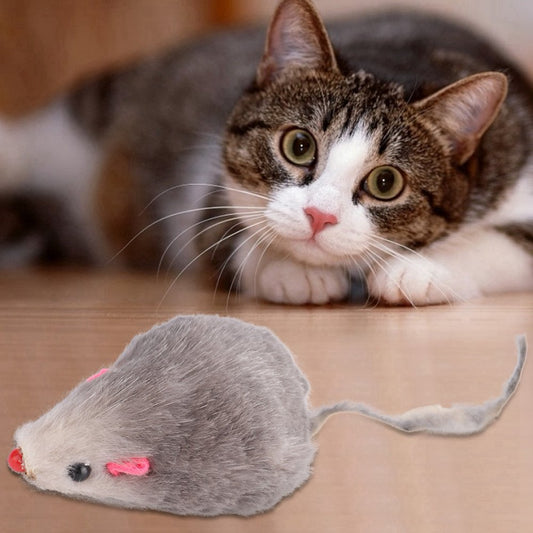 Mgaxyff Built-In Sound Cat Toy Fake Mouse, Cat Toy Mouse Sound, Pet Cat Toy for Pet Playing Kitten Cat Pets Gift Animals & Pet Supplies > Pet Supplies > Cat Supplies > Cat Toys KOL PET   
