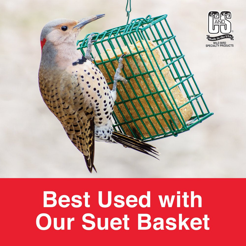 C&S Peanut Suet Treat, 11 Oz Cake, Wild Bird Food Animals & Pet Supplies > Pet Supplies > Bird Supplies > Bird Food Central Garden and Pet   