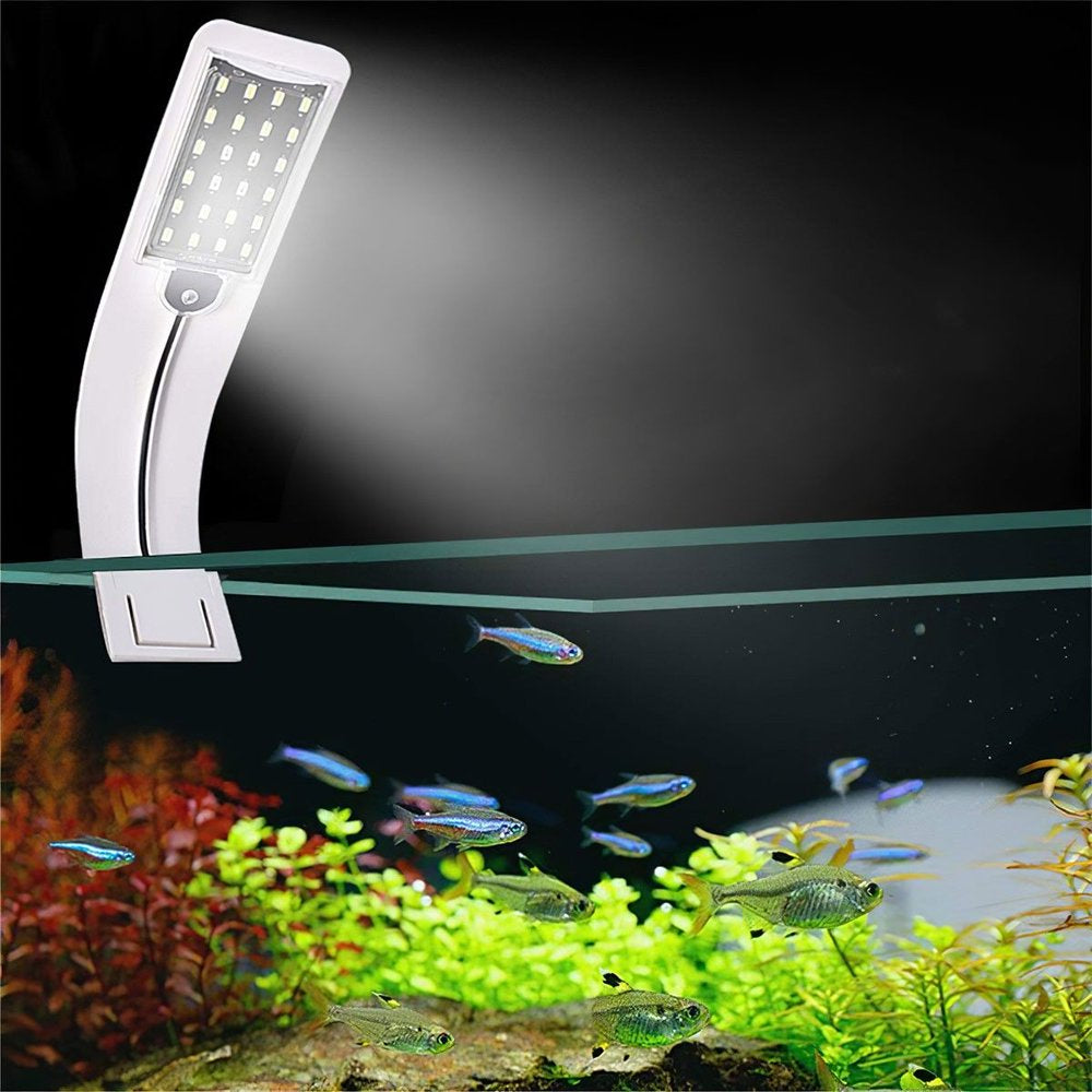 Gustave 10W Super Slim Aquarium LED Light Clip-On Lamp for Fish Tank, Aquatic Plant Lighting -White & Blue Light Animals & Pet Supplies > Pet Supplies > Fish Supplies > Aquarium Lighting Gustave   