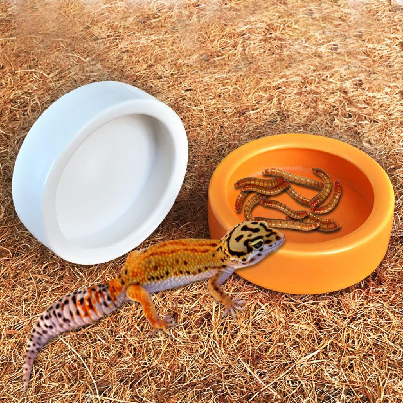 TONKBEEY Terrarium Bowls Reptile Food Bowl Worm Dish Mini Reptile Food Ceramics Water Bowl for Lizard Anoles Bearded Dragons