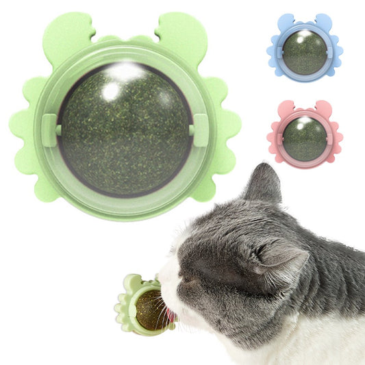 Ptlom Catnip Wall Ball, Detachable Silvervine Catnip Lollipop, Edible Kitty Toys for Cats Lick, Safe Healthy Kitten Chew Toys, Teeth Cleaning Dental Cat Ball Toy for Indoor(4 Pc) Animals & Pet Supplies > Pet Supplies > Cat Supplies > Cat Toys Ptlom 4 Green 