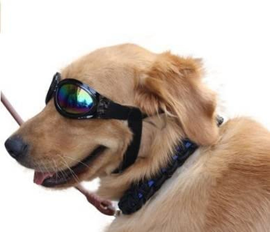 Top-Elecmart Pet Glasses Dog Sunglasses Dog Glasses Golden Retriever Samoyed Sunglasses Goggles Big Dog Eye Wear Protection (Black) Animals & Pet Supplies > Pet Supplies > Dog Supplies > Dog Apparel Aomeiter   