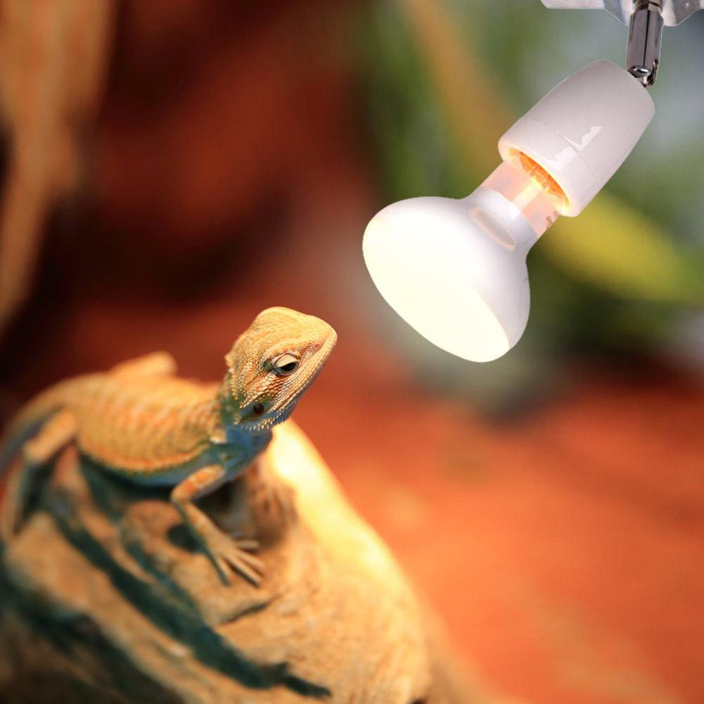 Dido Heating Lamp Socket Flexible E27 Lamp Socket Ceramic Socket Rotating Porcelain Socket Heat Lamp for Aquarium Reptile Bulb Not Included  Dido   
