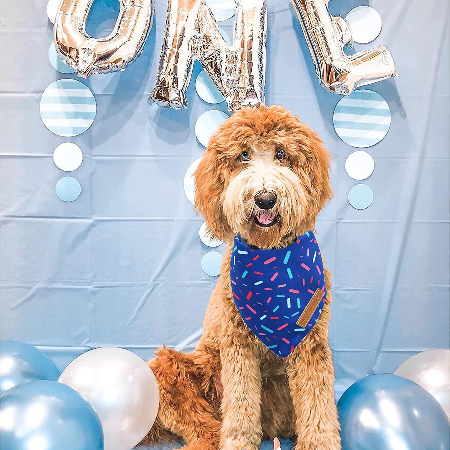 Realeaf Dog Birthday Bandanas 2 Pack, Dog Birthday Party Supplies, Blue and Pink Bandana, Triangle Reversible Pet Scarf for Boy and Girl, Premium Durable Fabric, Multiple Sizes Offered (Large) Animals & Pet Supplies > Pet Supplies > Dog Supplies > Dog Apparel Realeaf   