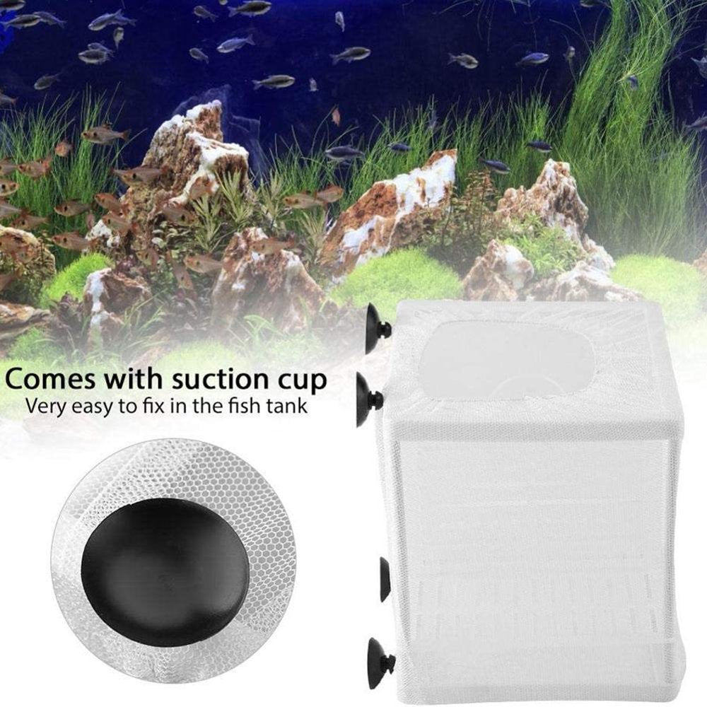 Aquarium Isolation Box Fish Tank Isolation Net Tropical Fish Peacock Anchovy Hatching Breeding Box with Partition Suction Cup Size Animals & Pet Supplies > Pet Supplies > Fish Supplies > Aquarium Fish Nets Pangheng   