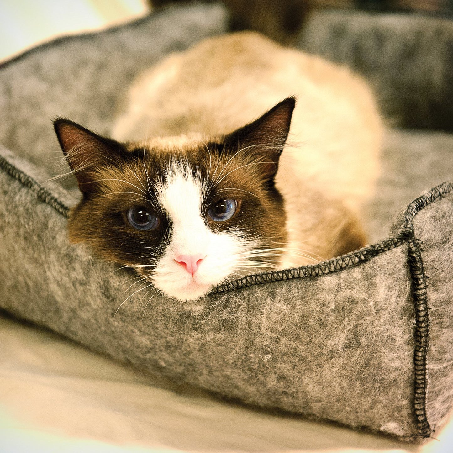 K&H Amazin Kitty Lounger Pet Cat Bed, Gray Animals & Pet Supplies > Pet Supplies > Cat Supplies > Cat Beds K&H Pet Products   